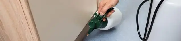 Bed bug exterminator treating baseboards and cracks with targeted spray in Anaheim, CA