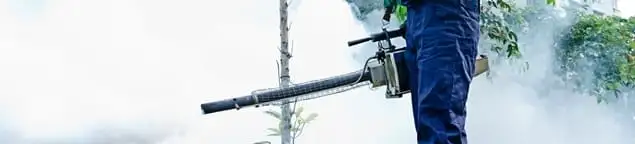 Pest control technician fogging an outdoor area for insect control in Anaheim, CA