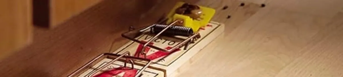 Rodent trap set indoors for rodent control and prevention in Anaheim, CA